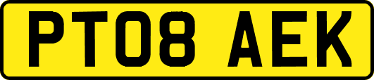 PT08AEK
