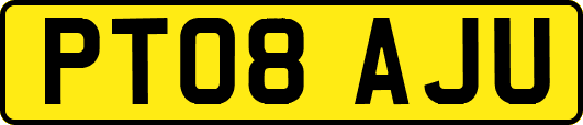 PT08AJU