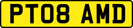 PT08AMD