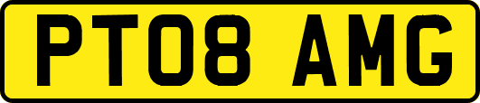 PT08AMG