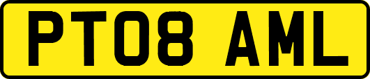 PT08AML