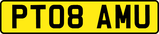 PT08AMU