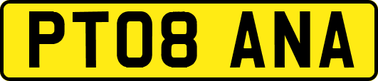PT08ANA
