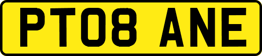 PT08ANE
