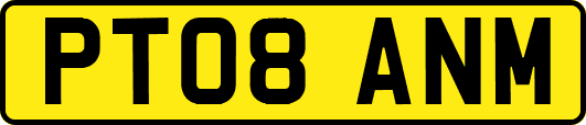 PT08ANM