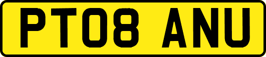 PT08ANU