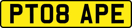 PT08APE