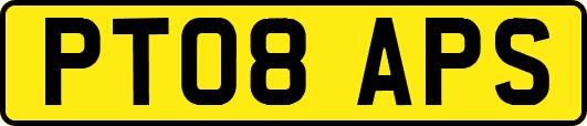 PT08APS
