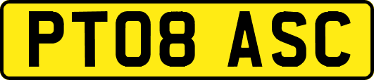 PT08ASC