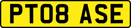 PT08ASE