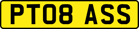 PT08ASS