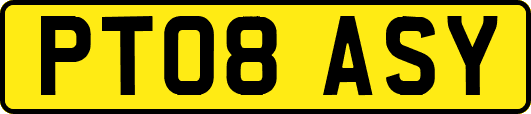 PT08ASY