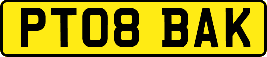 PT08BAK