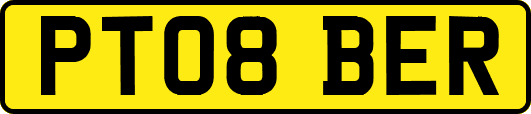 PT08BER