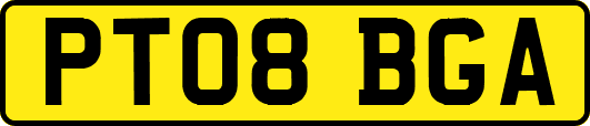 PT08BGA