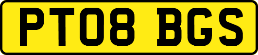 PT08BGS
