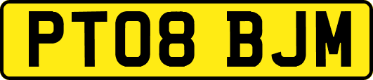 PT08BJM
