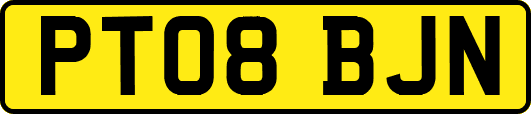 PT08BJN