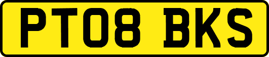 PT08BKS