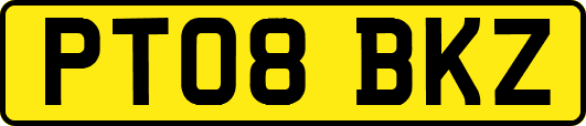 PT08BKZ