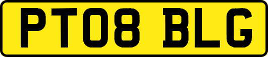 PT08BLG