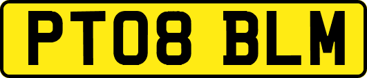 PT08BLM
