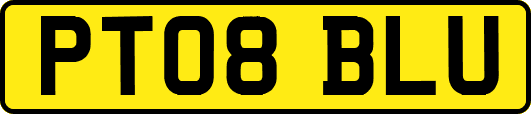 PT08BLU