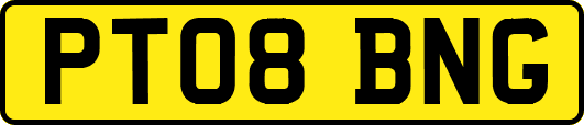 PT08BNG