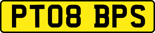 PT08BPS