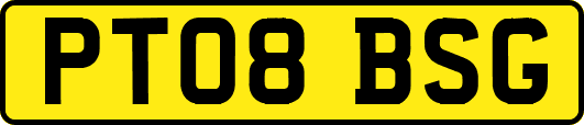 PT08BSG