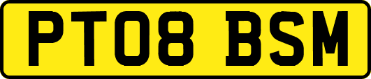 PT08BSM