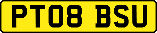 PT08BSU