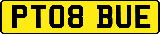 PT08BUE