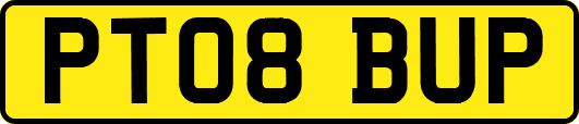 PT08BUP