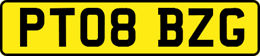 PT08BZG