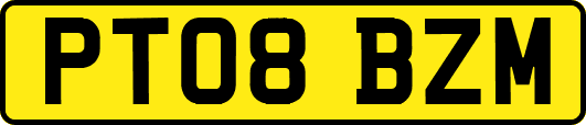PT08BZM