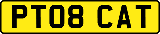PT08CAT