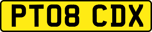 PT08CDX