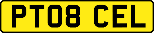 PT08CEL