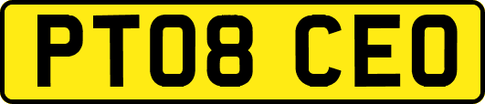 PT08CEO