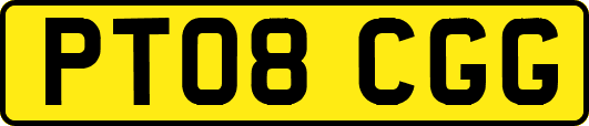 PT08CGG