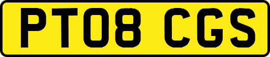 PT08CGS
