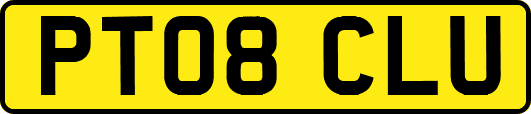 PT08CLU