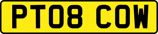 PT08COW