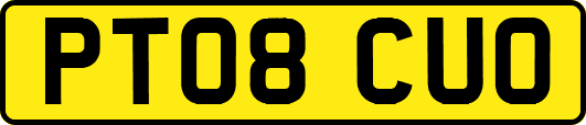 PT08CUO