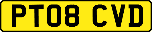 PT08CVD