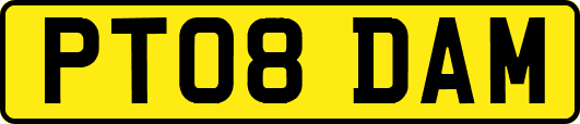 PT08DAM