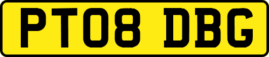 PT08DBG