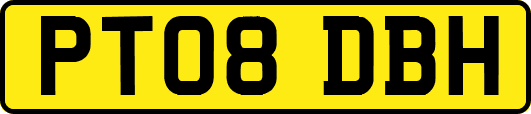 PT08DBH