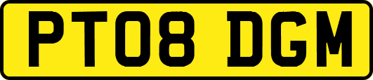 PT08DGM